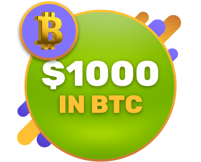 $1000 in Bitcoin
