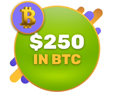 $250 in Bitcoin