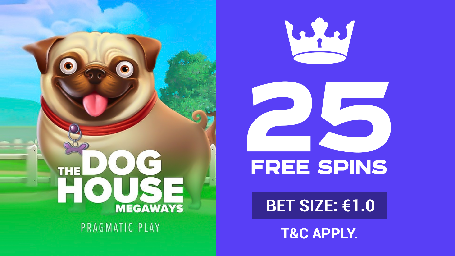 25 FS Doghouse MW (€1 betsize)